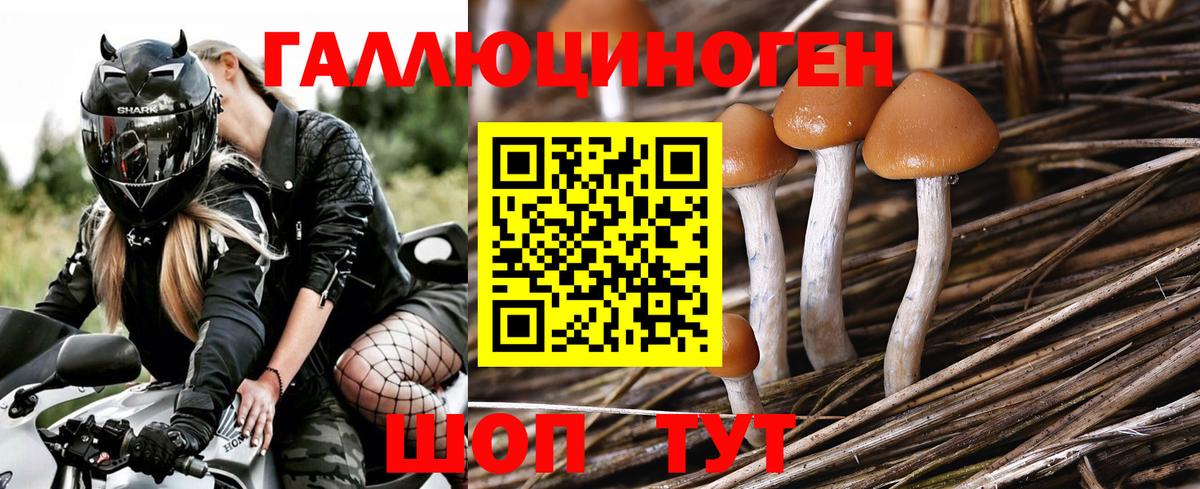 Псилоцибиновые грибы мицелий Луховицы