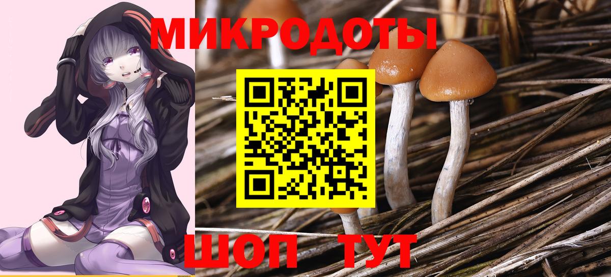 Луховицы  Псилоцибиновые грибы MAGIC MUSHROOMS  Вход с VPN  наркота  Псилоцибиновые грибы мицелий 